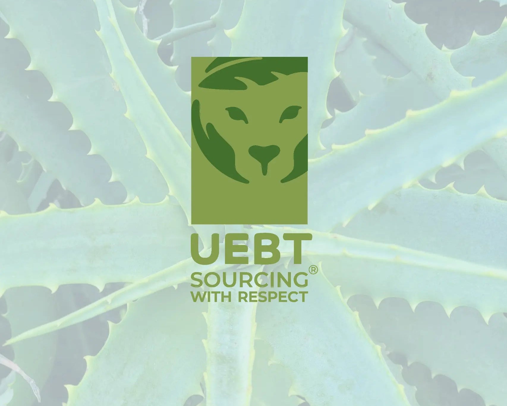 Obtención-del-Certificado-UEBT-Un-Compromiso-con-la-Sostenibilidad Aqua Baby