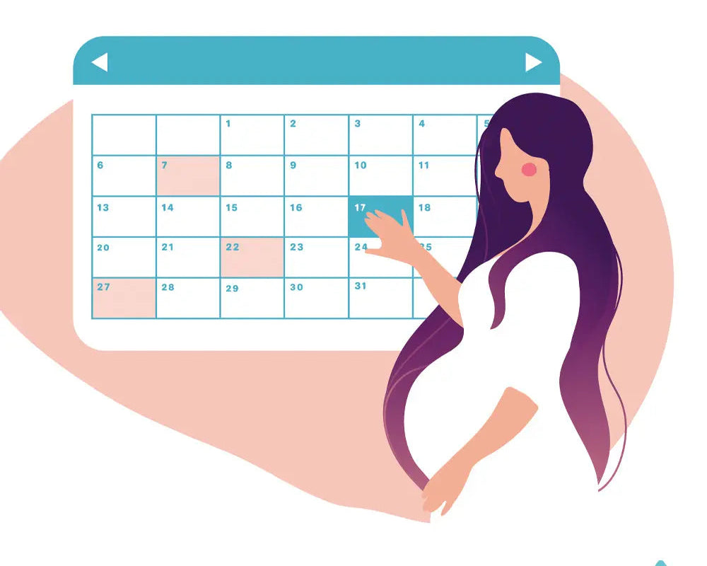 Fechas claves Aqua Baby